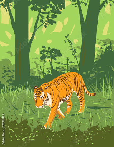 Art Deco or WPA poster of a tiger or Panthera tigris prowling in Kanha Tiger Reserve or Kanha-Kisli National Park in Madhya Pradesh, India done in works project administration style.
