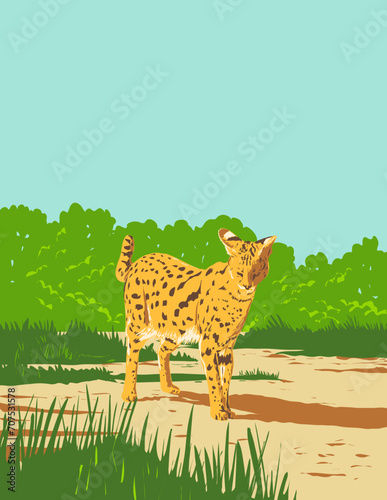 Art Deco or WPA poster of a  serval or Leptailurus serval found in Kruger National Park in Limpopo and Mpumalanga provinces of South Africa done in works project administration style.

