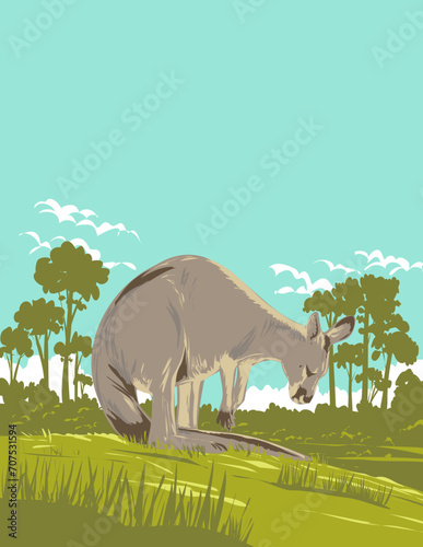 Art Deco or WPA poster of a kangaroo in Murramarang National Park on the South Coast of NSW New South Wales, Australia done in works project administration style.
