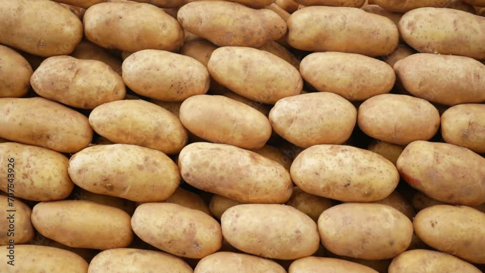 raw potatoes selling on farmers market raw potatoes selling on farmers market