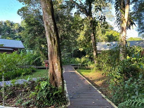 DEER Cave - Show cave tour at Gunung Mulu National Park