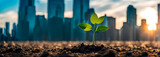 Closeup on a small growing plant growing in a city landscape. Concept for eco-friendly building and reforestation by planting trees on city land. Ground view. Panoramic view. Blurred background.