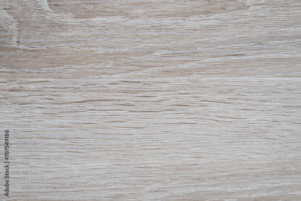 background texture nature wooden cut hardwood forest background texture nature wooden cut hardwood forest