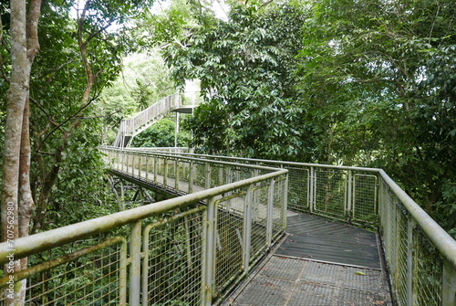 Rainforest Discovery Center. Sandakan is also the second largest town in Sabah, Malaysia. Known as the Natural City, Sandakan visitors have the opportunity to explore wildlife sanctuaries and discover