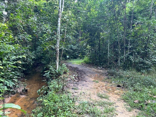 Rainforest Discovery Center. Sandakan is also the second largest town in Sabah, Malaysia. Known as the Natural City, Sandakan visitors have the opportunity to explore wildlife sanctuaries and discover photo