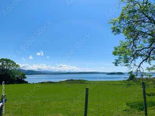 Green pasture on the Isle of Lismore, Scotland with sheep and blue sky overlooking the sea photo