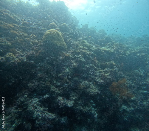 The best diving spot Sipadan Island, Sabah state in Malaysia. © Optimistic Fish