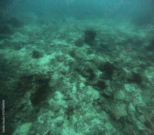 The best diving spot Sipadan Island, Sabah state in Malaysia.