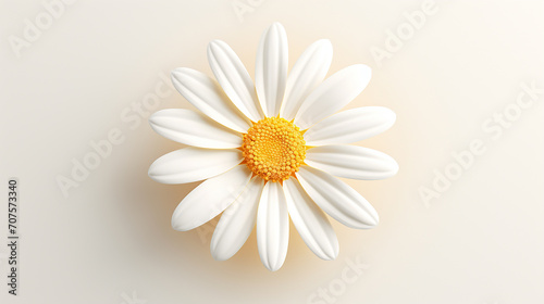 A 3D render of a sprightly daisy, with white petals and a sunny center photo
