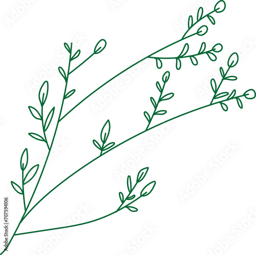 branch with leaves illustration 