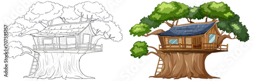 Sketch and colored illustration of a treehouse