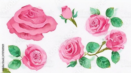 A set of watercolor roses.       