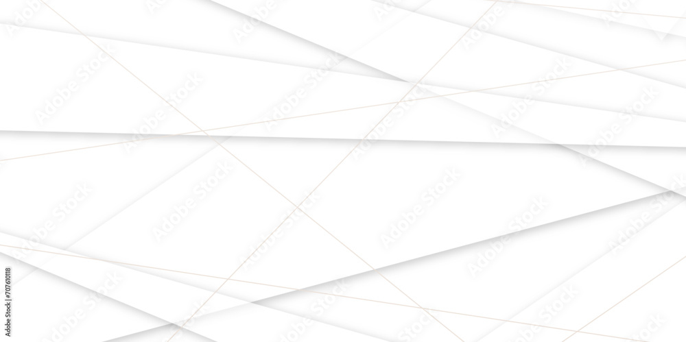 Abstract background with white and gray and geometric style with simple line design .Space futuristic design, website backgrounds.