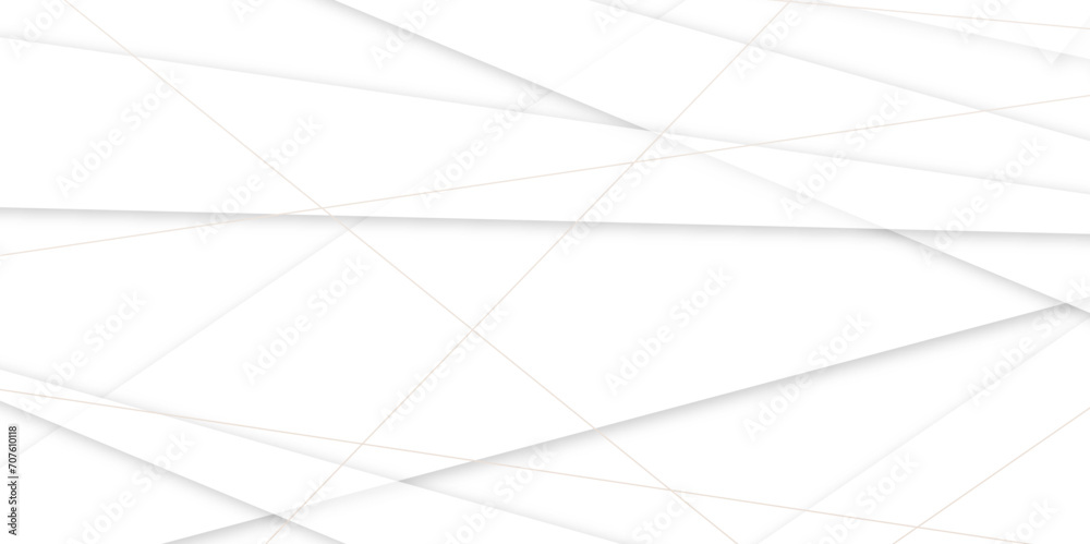 Abstract background with white and gray and geometric style with simple line design .Space futuristic design, website backgrounds. Abstract background with white and gray and geometric style with simple line design .Space futuristic design, website backgrounds.