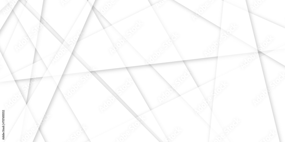 Abstract background with white and gray and geometric style with simple line design .Space futuristic design, website backgrounds. Abstract background with white and gray and geometric style with simple line design .Space futuristic design, website backgrounds.