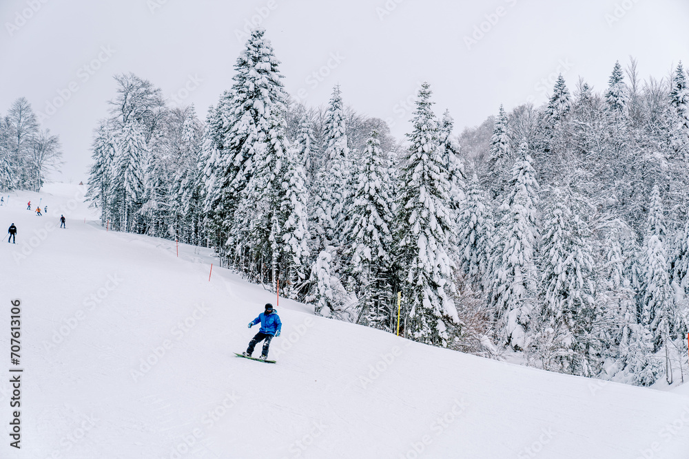 Snowboarder in a blue ski suit rides along a hilly snowy slope along the forest