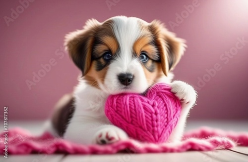 cute little puppy with a pink knitted heart.