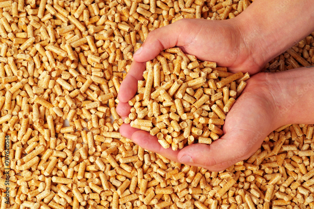 Human hands holding wooden pellets biofuel studio shot Human hands holding wooden pellets biofuel studio shot