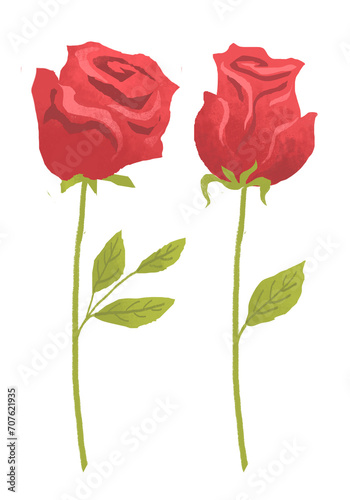 a single red rose clipart for graphic resources