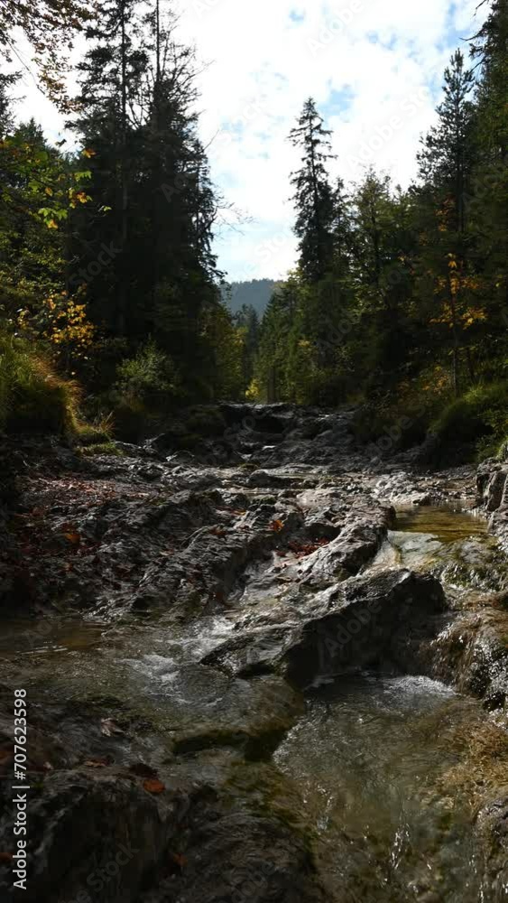 Vertical shot of a mountain stream in a forest in autumn Vertical shot of a mountain stream in a forest in autumn