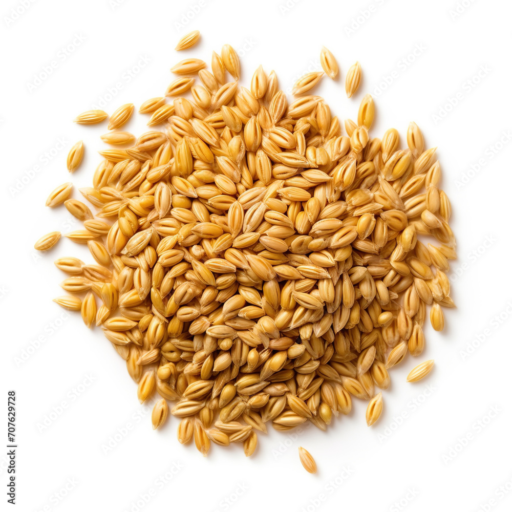 Barley Grains on White Background Barley Grains on White Background