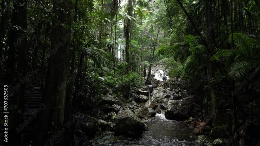 Water flowing down a lush jungle stream revealing a towering tropical waterfall in the distance. Slow drone movement Water flowing down a lush jungle stream revealing a towering tropical waterfall in the distance. Slow drone movement