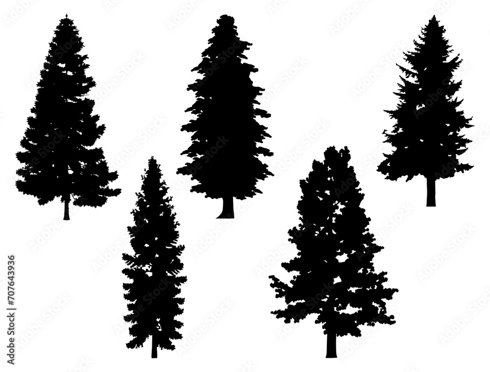 Obraz premium Pine Tree silhouette vector art white background