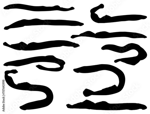 Sea Lamprey silhouette vector art white background