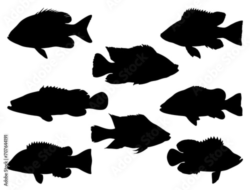 Tilapia Fish silhouette vector art white background