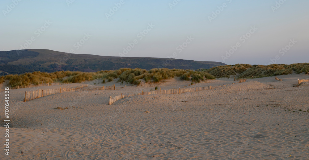 Beach grass on dune landscape at Barmouth Wales, during early evening light