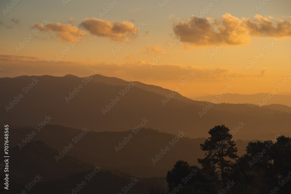 travel and people activity concept with large pine with layer of mountain and cloudy sky background travel and people activity concept with large pine with layer of mountain and cloudy sky background