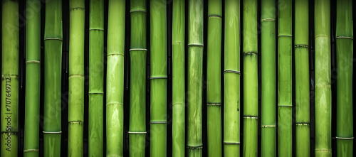 Natural green bamboo background.