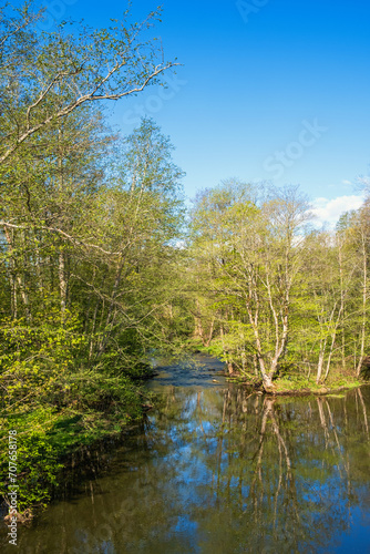 River in a green forest in spring