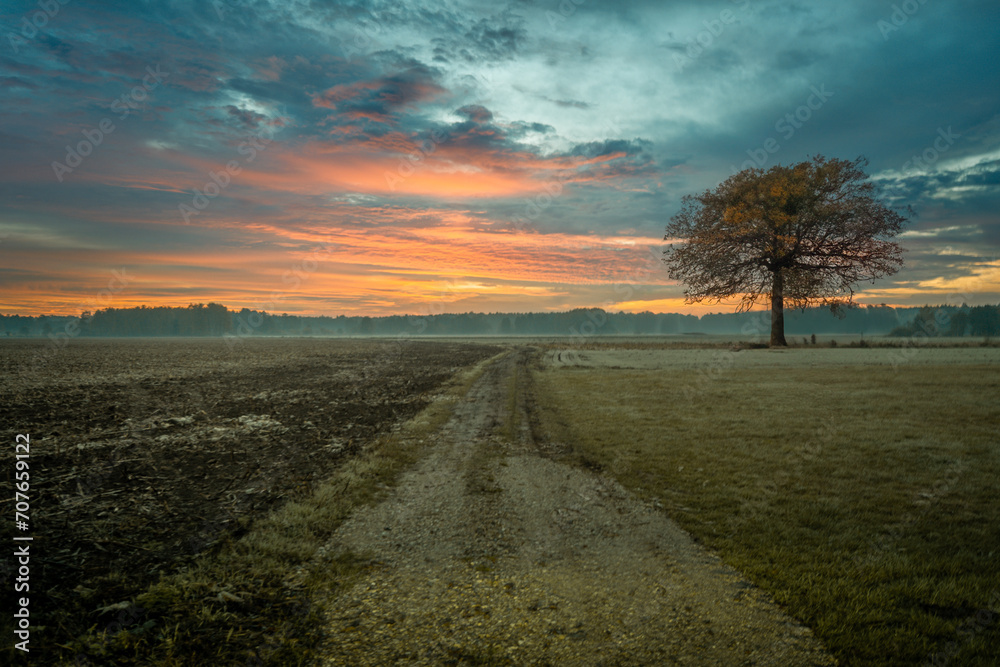 Polish landscape illuminated by the setting sun.