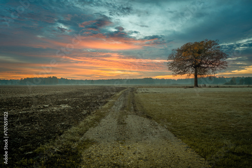 Polish landscape illuminated by the setting sun.