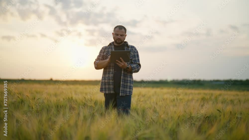 Man botanist with tablet works in field. Farmer agronomist checks ripe wheat, growth, collects data. Scientist engineer conducts research of plant cultivation. Harvesting, farming, farm work concept. Man botanist with tablet works in field. Farmer agronomist checks ripe wheat, growth, collects data. Scientist engineer conducts research of plant cultivation. Harvesting, farming, farm work concept.