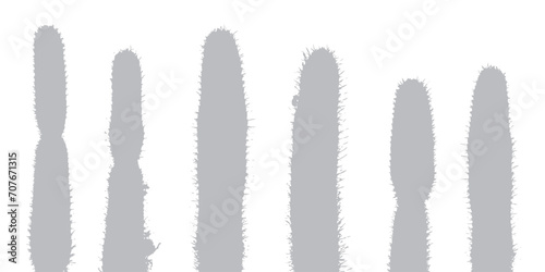 Gray cactus shadow on white background. Tropical plants, desert, vector illustration