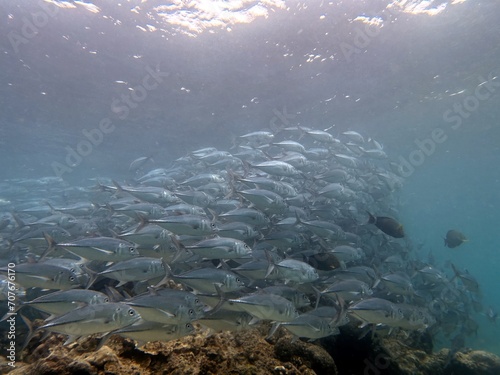 The best diving spot Sipadan Island  Sabah state in Malaysia.