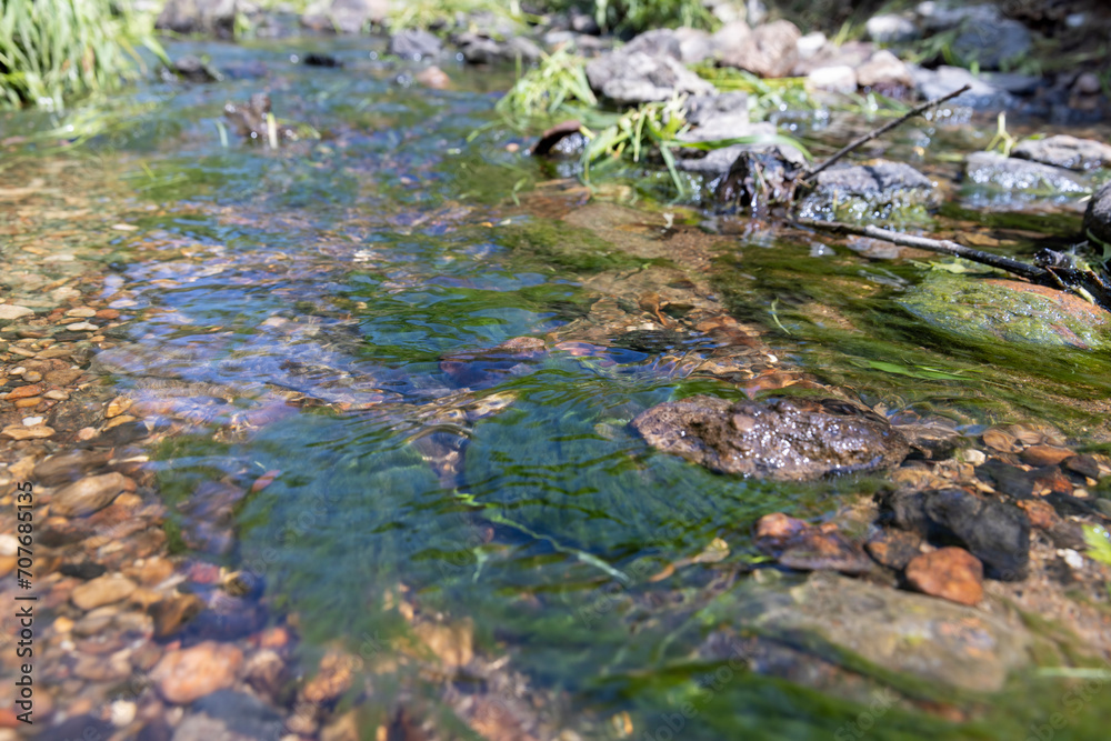 water flowing in a small narrow stream in summer water flowing in a small narrow stream in summer