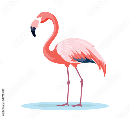 pink flamingo bird flat illustration © Refat Jamil