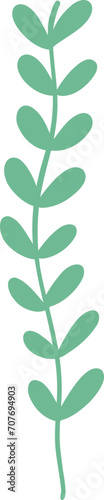 seaweed illustraiton simple