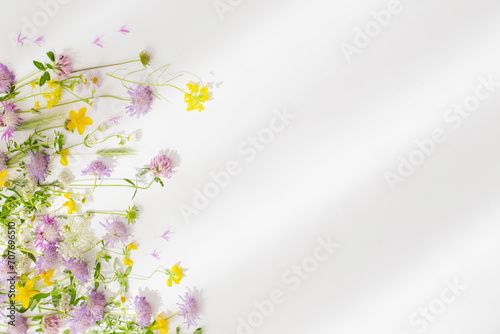 summer wild flowers on white paper background