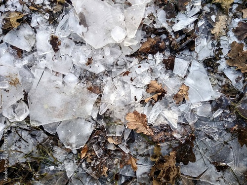 Big chunks of broken ice mixed with dry oak autumn leaves. Winter concept photo. 