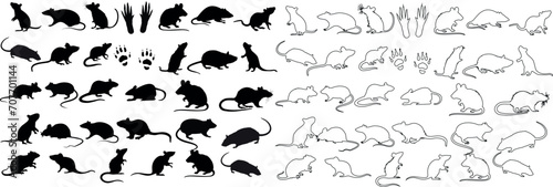 Rat silhouette and line art collection, black and white, various poses. Perfect for icons, logos, graphic design, and artwork. Editable, detailed, vector illustration