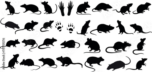 rat silhouettes in various poses on white background, perfect for pest control, Halloween graphics, vector illustrations. Includes running, sitting, standing rats and footprints photo