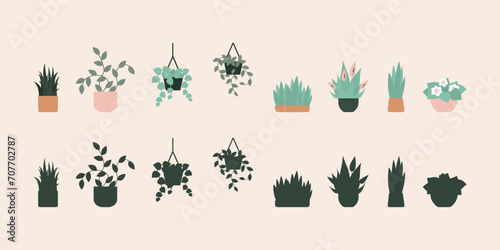Collection of different colorful botany elements. Set of various domestic plants in pots. Home plants and flowers and silhouettes.