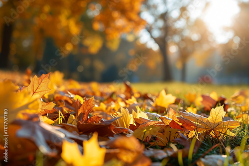 Golden Fall Leaf Branch in Autumn: Backlit Illumination, Beauty in Nature Panoramic Concept, Created with Generative AI Tools