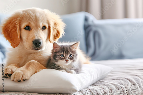 Adorable puppy and kitten lying together in a loving embrace  in a bright room
