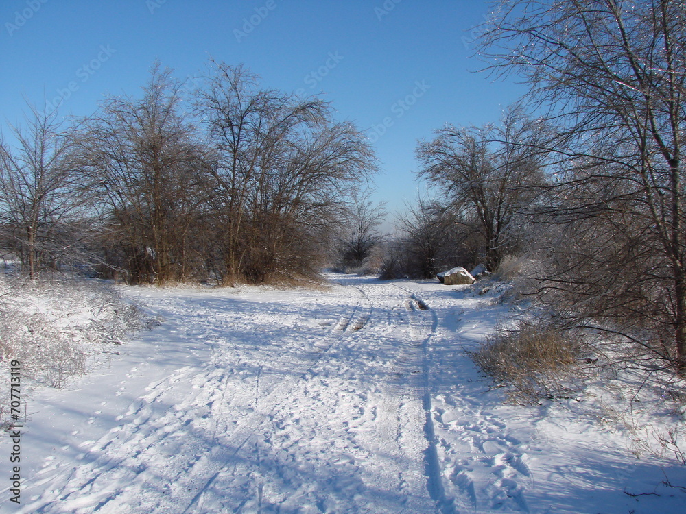 The landscape of a snow-covered road on the edge of a forest strip that goes deep into the forest seems to rise into the blue sky. The landscape of a snow-covered road on the edge of a forest strip that goes deep into the forest seems to rise into the blue sky.