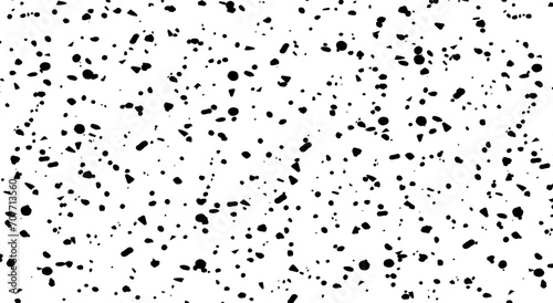 vector eggshell texture. coal, ink and watercolor splashes, sand, noise, grunge black sand grains and particles of different sizes on a white background photo
